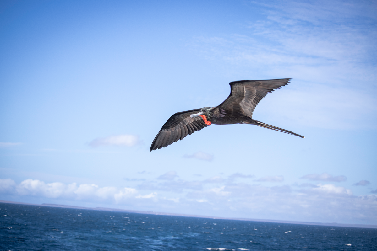 Galapagos Sky