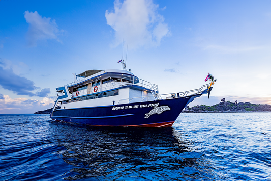 Blue Dolphin