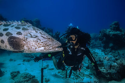 Scuba IQ