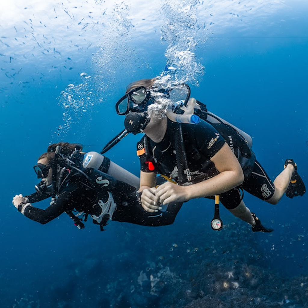 Big Blue Diving Koh Tao