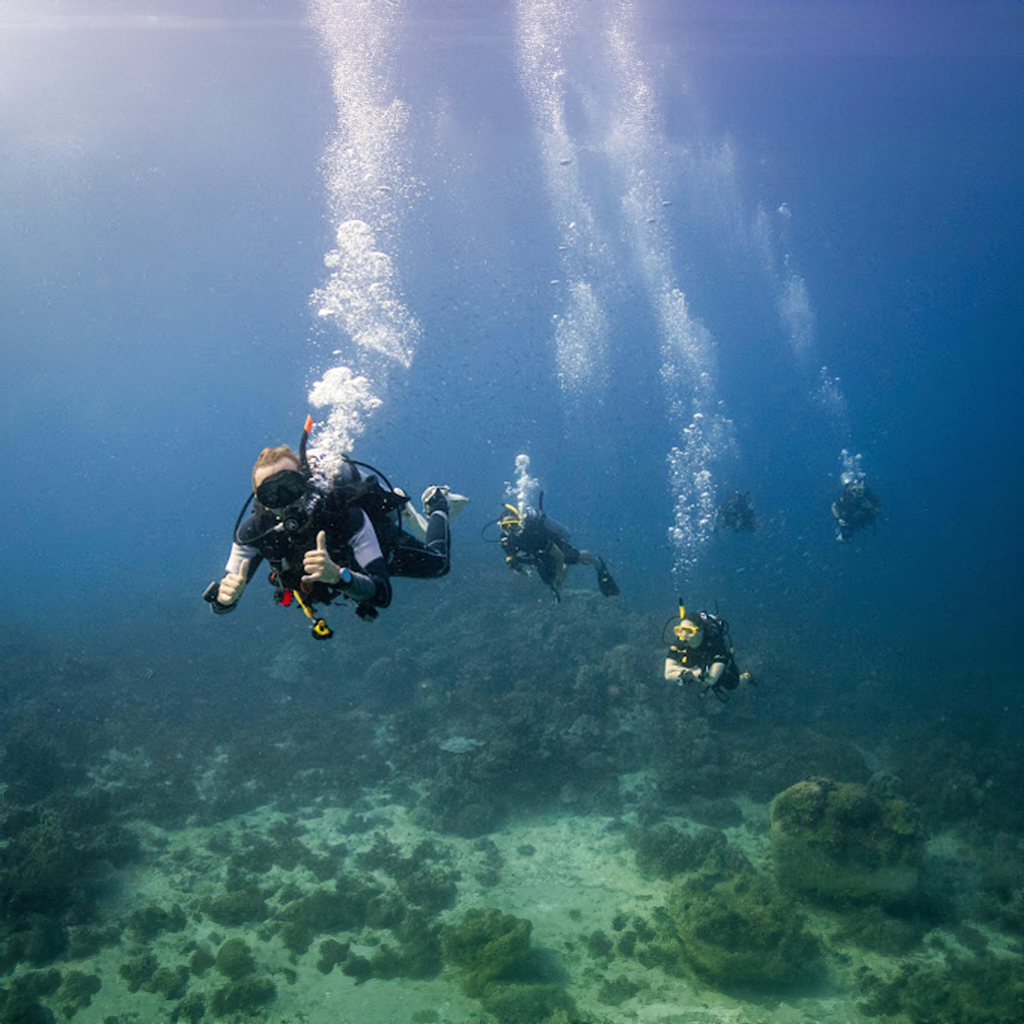 Big Blue Diving Koh Tao
