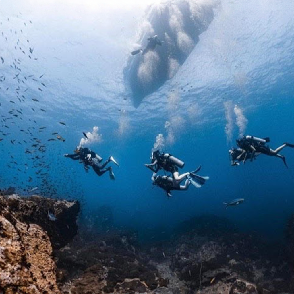 Big Blue Diving Koh Tao