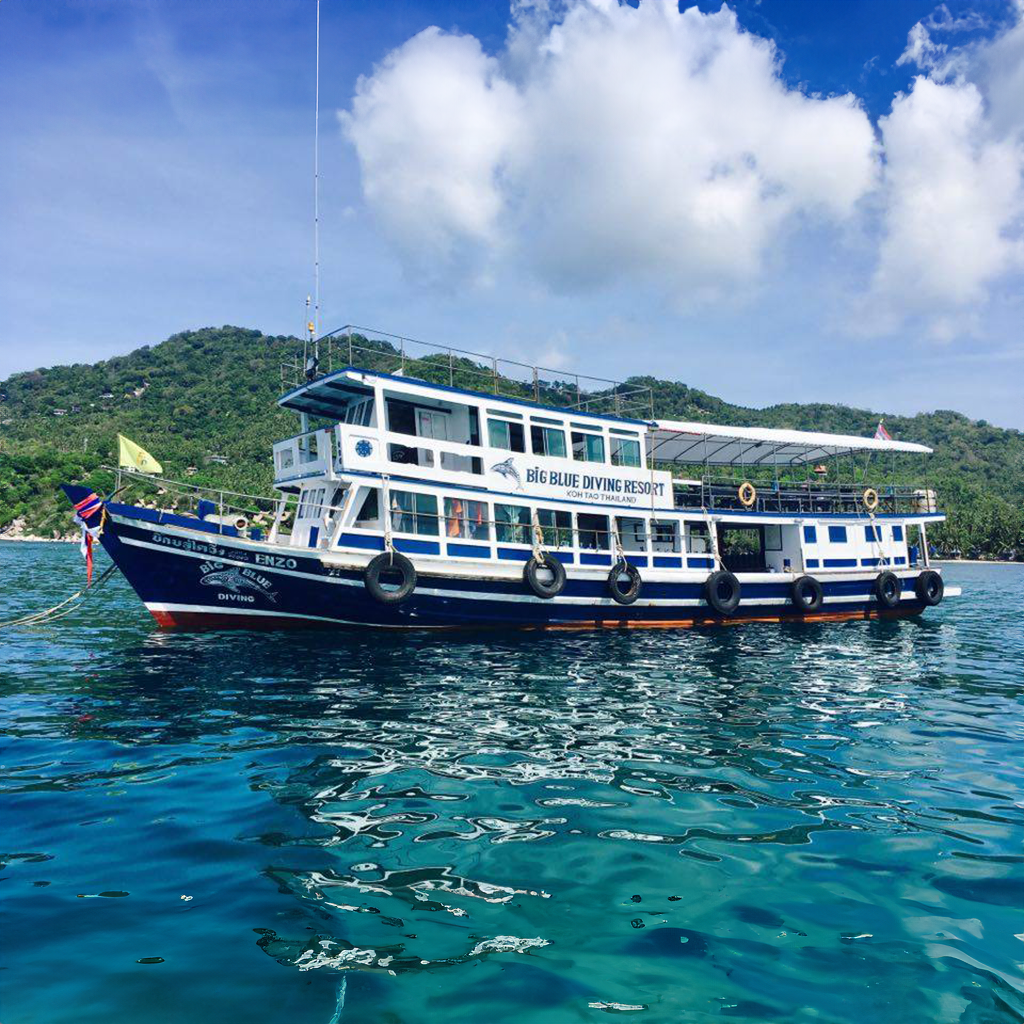 Big Blue Diving Koh Tao