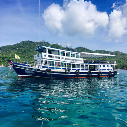 Big Blue Diving Koh Tao