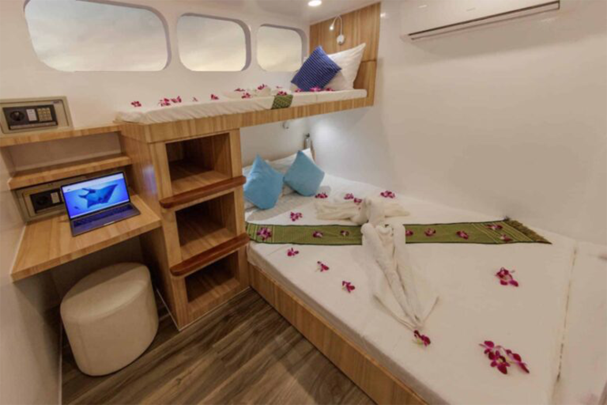 Blue Dolphin